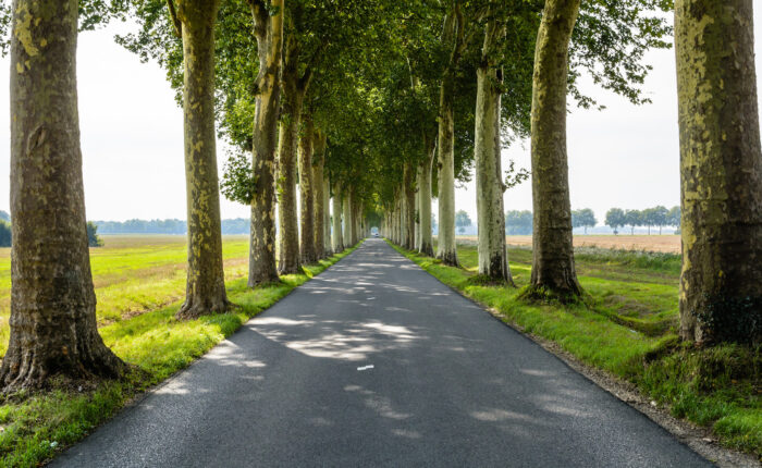 déclaration préalable non opposition