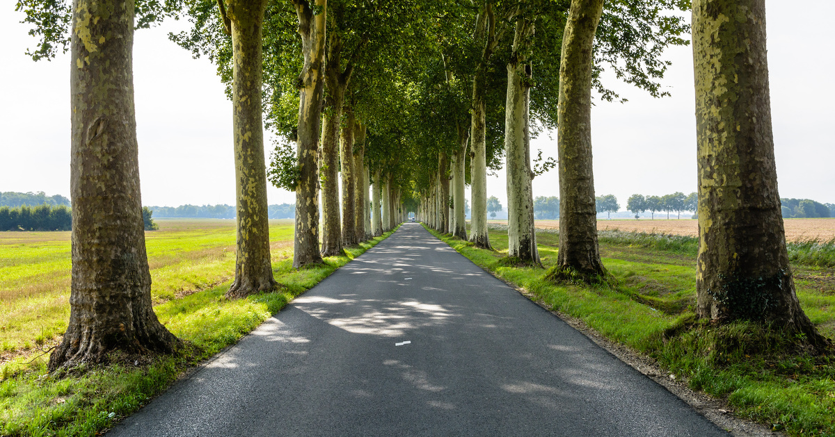 déclaration préalable non opposition